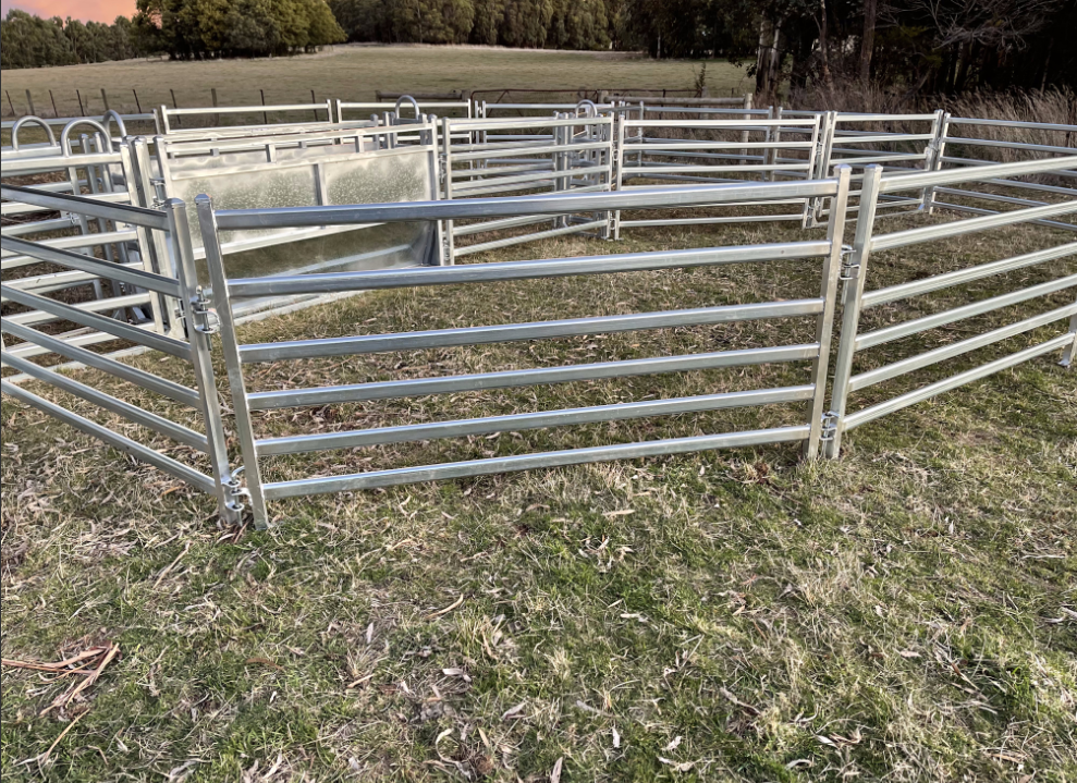 Step-by-Step Installation Guide for Portable Sheep Yards