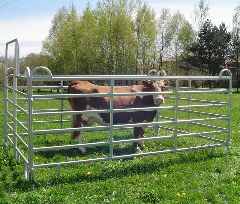 What is a cattle panel?cid=6