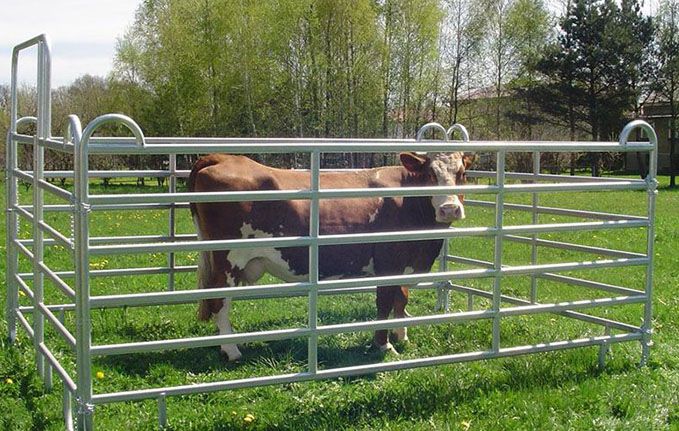 What is a cattle panel?