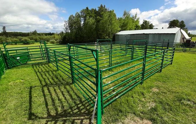 What is the difference between a hog panel and a cattle panel?