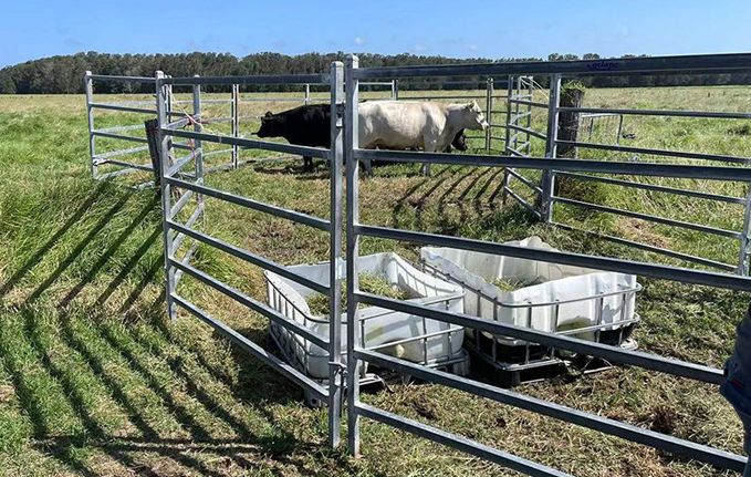What is the difference between a cattle guard and a gate?